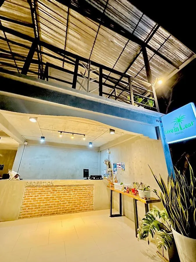 Hostel Live In Leaf Koh Tao Pansiyon Tayland