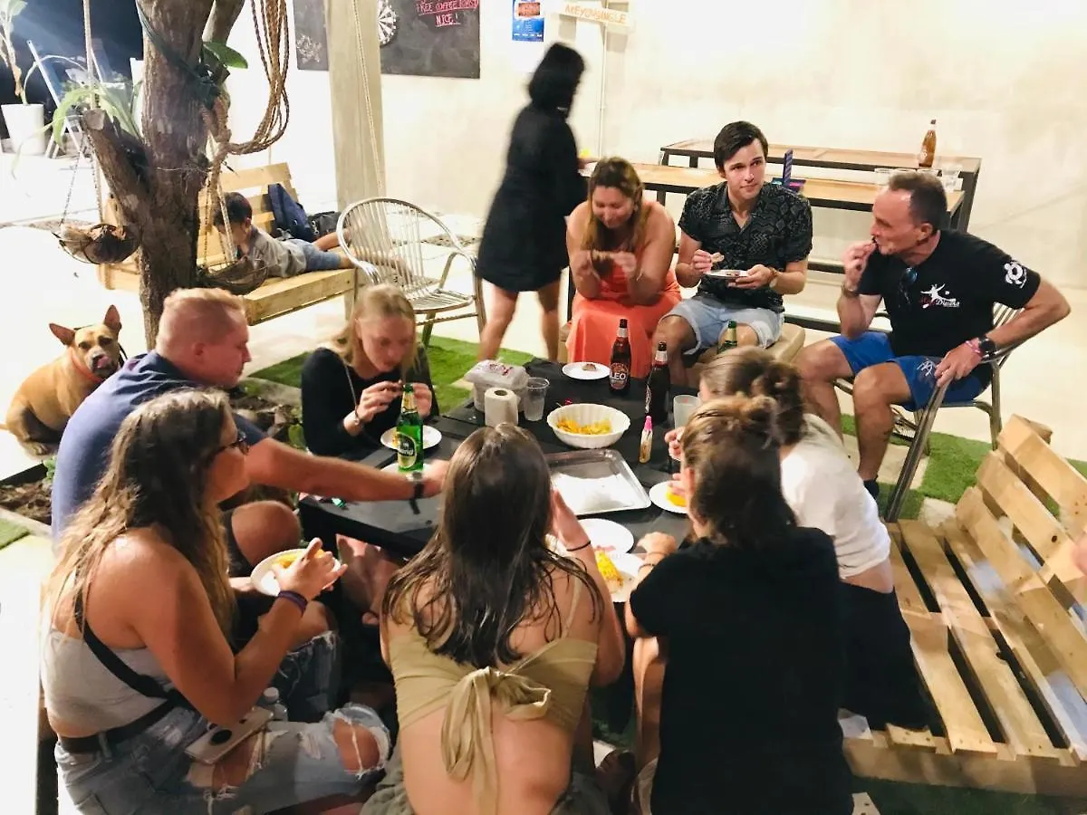 Live In Leaf Koh Tao Hostel Thailand