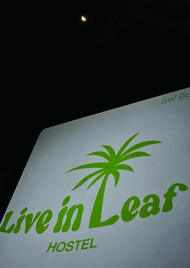 Live In Leaf Koh Tao Hostel